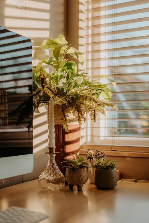 Easy Ways to Add Nature to Your Workspace for a Calmer Day